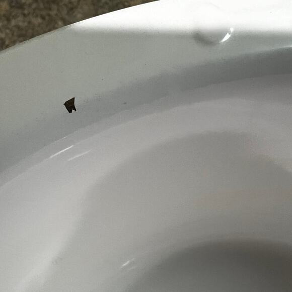 Enamel dog food or water bowl.  Paw prints & bones adorn rim - Picture 7 of 8